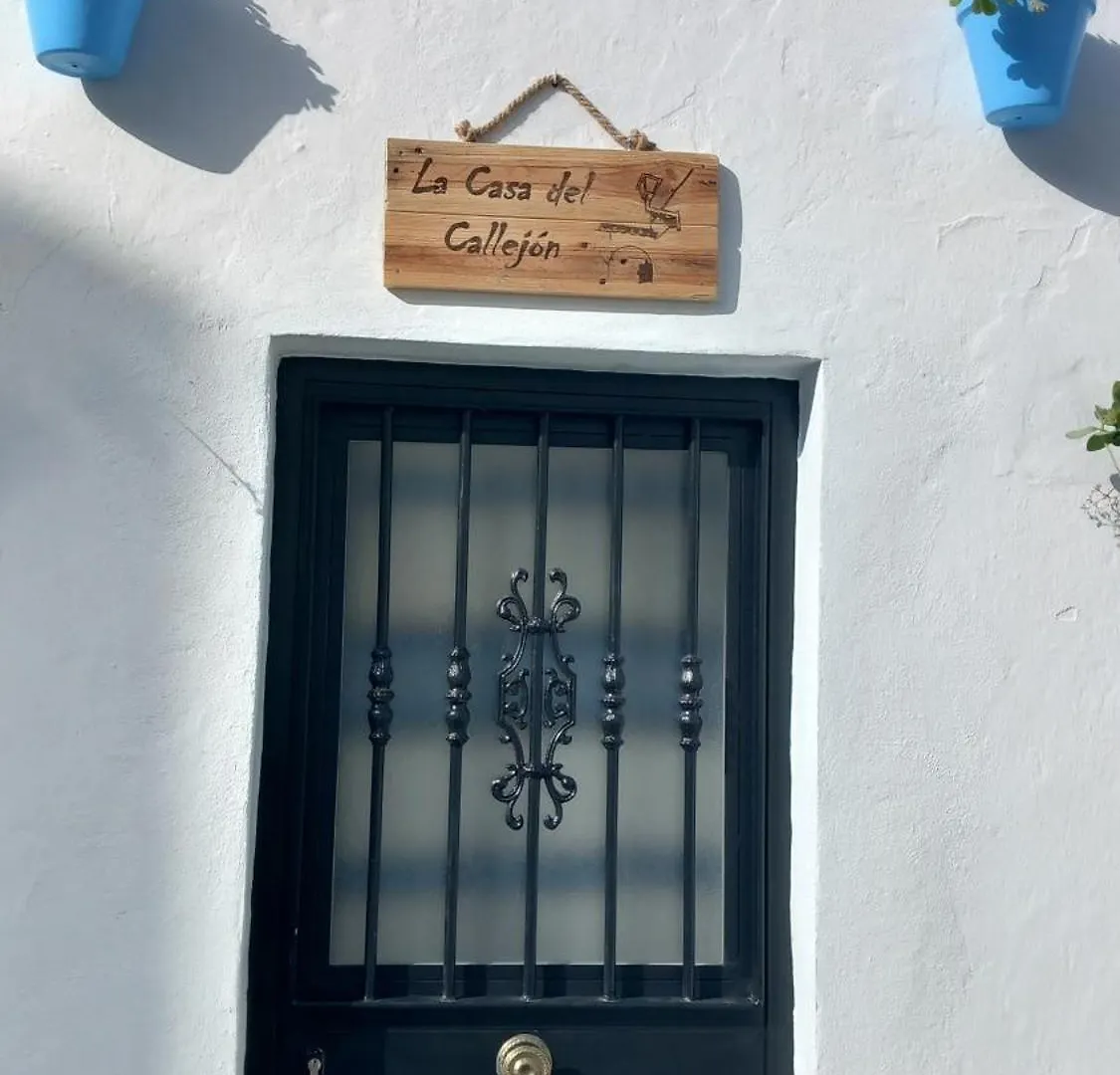 La Casa Del Callejon Vejer de la Frontera Apartment